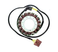 AVVOLGIMENTO ALTERNATORE ELETTROSPORT (STATORE) APRILIA RSV/TUONO
