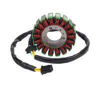 Avvolgimento Compatibile Con Suzuki Per SV650 2003-2012 Per SV650S 2003-2007 32101-17G00 Parti Del Motore Della Motocicletta Bobina Dello Statore Dell'accenditore Accessori