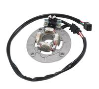 Avvolgimento Compatibile Con Yamaha Per YZ450 Per YZ450F 2003 2004 2005 5BE-85560-02 Bobina Statore Generatore Moto Bobina Statore Moto Accessori