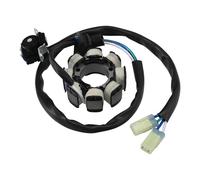 Avvolgimento Per CRF250 Per CRF250R 2004 2005 2006 2007 2008 2009 Per CRF450R 2005 2006 2007 Bobina Statore Generatore Magnete Moto Accessori