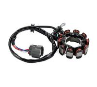 Avvolgimento Per KLX450R 2008 21003-0070 Bobina Statore Generatore Motocicletta Piastra Statore Magnete Moto Bobina Di Accensione Accessori
