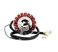 Avvolgimento Per XR250 Per Tornado Bobina Dello Statore Del Generatore Per Moto Bobina Dello Statore Del Generatore Accensione Accessori Per Motore