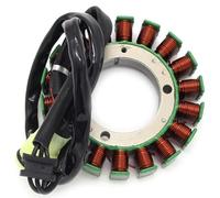 Avvolgimento Per ZX636 Per Ninja ZX-6R 2002 21003-1358 Bobina Di Accensione Per Motocicletta Statore Magneto Per Motocicletta Piastra Statore Bobina Di Accensione