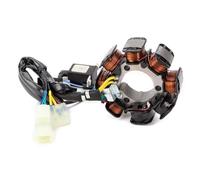 Avvolgimento statore moto Per TRX250 Four Per Trax 250 1997 1998 1999 2000 2001 2002 2003 2004 31120-HM8-004 Bobina Statore Per Motocicletta Bobina Statore Per Motocicletta Accessori