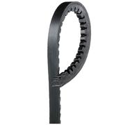 AVX10x913HD CINGHIA TRASMISSIONE TRAPEZOIDALE DENTATA GATES 10 x 913