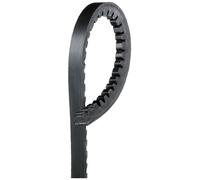 AVX10x950HD CINGHIA TRASMISSIONE TRAPEZOIDALE DENTATA GATES 10 x 950