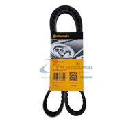 AVX13X1175 CONTITECH CINGHIA TRAPEZOIDALE 13X1175