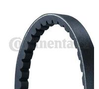 Cinghia Trapezoidale Continental Ctam AVX13X1260 per Kässbohrer Toyota