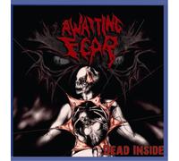 Awaiting Fear - Dead Inside
