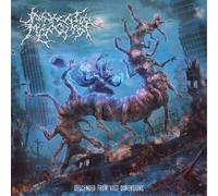Awaken the Misogynist Descended from Vast Dimensions (CD) Album