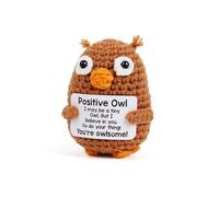 AWARDSEN Gufo positivo, regalo per donne e uomini, regali ispiratori per colleghi, insegnanti, amici, fatti a mano, carino, mini animale per la decorazione della scrivania dell'ufficio