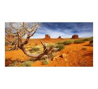 AWERT Sfondo per terrario deserto arancione in poliestere resistente, 183 x 61 cm