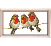 Awesocrafts - Kit per punto croce, motivo con tre uccellini, facile da ricamare, opzioni timbrate, per adulti, principianti e bambini, idea regalo (uccelli, timbrato)