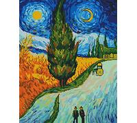 Awesocrafts Kit per punto croce stampato Vincent Van Gogh Il percorso dei cipressi modelli semplici per punto croce ricamo ricamo kit forniture