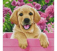 Awesocrafts Kit per punto croce timbrato Labrador Cane Labradoodle Cucciolo Modelli facili Cucitura Croce Ricamo Kit di Ricamo Forniture (Labrador)