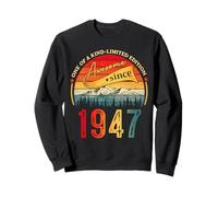 Awesome Since 1947 Vintage Style Born in 1947 Birthday Mens Felpa