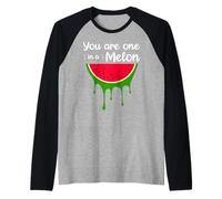 Awesome Summer Pet Cat Fruits One in a Melon Watermelon Maglia con Maniche Raglan