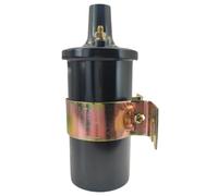 AWGSRZIU Bobina di accensione 300-8M0079202 compatibile con i modelli MerCruiser Thunderbolt IV e V V6 V8 sostituisce 392-7803A4 392-805570A2 392-805570A1 18-5438