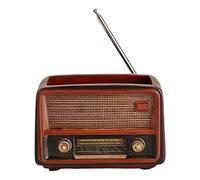 AWJUWHBJ Vaso da fiori retrò a forma di radio, per interni, drenaggio, primitivo, rustico, casa, casa, giardinaggio, giardinaggio