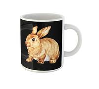 Awowee Tazza da caffè marrone adorabile acquerello coniglio lepre animale coniglietto carino domestico 325 ml tazza da tè in ceramica miglior regalo o souvenir per familiari, amici e colleghi