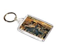 AWS Portachiavi Roma Piazza San Pietro Souvenir Città del Vaticano Italia Key Ring in PVC