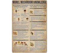 AXHNG Poster vintage con guida rapida all'identificazione dei funghi Morel Mushroom Knowledge in metallo e alluminio, 30,5 x 40,6 cm, decorazione da parete