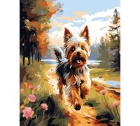 AxiangziK kit punto croce,11CT punto croce prestampato Cane,Yorkshire Terrier che corre sull'erba,Punto Croce Kit da Ricamare Fai da Te Kit Ricamo Completo per Principianti Home Decor,40x50cm