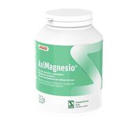 Aximagnesio polvere 252gr
