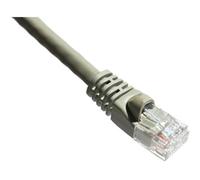 Axiom Cat6a, 100ft cavo di rete 30,48 m U/UTP (UTP) Grigio - Cavi di rete (100ft, 30,48 m, Cat6a, U/UTP (UTP), RJ-45, RJ-45, Grigi)