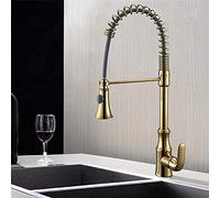 AXOIN Rubinetti, Rubinetto Acqua-Rubinetto In Ottone Lavello Da Cucina In Ottone Estraio/Giù Dorato Lavello Miscelatore Con Sp Tubo Singola Maniglia Caldo Freddo Rubinetto Della Cucina