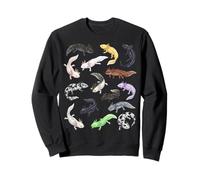 Axolotl Morphs Tipi di Axolotls Scienza Estetica Biologia Felpa