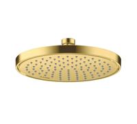 hansgrohe AXOR ShowerSolutions pomme de douche 220, 1 type de jet, économie deau, 35383950, 35383950, Colorazione: Ottone spazzolato