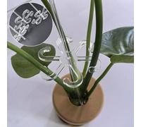 Axorafow Confezione da 5 supporti per piante rampicanti in acrilico per interni ed esterni, ganci trasparenti da giardino con base quadrata da 7,5 cm, supporti leggeri e resistenti per arbusti