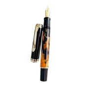 AXPTI Penna stilografica in acrilico morbido n. 6/35# F/M/B 0,5/0,7 mm, pennino curvo a inchiostro penna per studenti che scrivono come regalo (E,0,5)