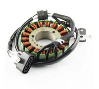 AXTAZS Compatibile con per Nytro 1000 Er 2006-2007 per Phazer 500 2007-2018 Bobina Statore per Moto Gruppo Statore 8GC-81410-00 8GC-81410-10 Motocicletta Statore Bobine