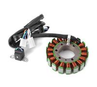 AXTAZS Compatibile con per XT600 per XT600E 1990-2002 per TT600 per TT600R per TT600E 1994-2004 Bobina Statore per Motocicletta Parti 4DN-81410-00-00 Motocicletta Statore Bobine