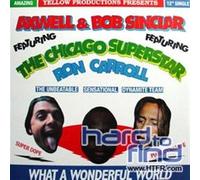 What A Wonderful World - Axwell & Bob Sinclar Feat. Ron Carrol (Vinile)