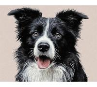 AYAOYANGGO DIY Animale Kit Completo Per Tufting Border Collie Bianco E Nero Kit Per La Realizzazione Di Tappeti Per Adulti E Bambini，Kits Per Arazzi，Ricami，Cucito E Bricolage 21x29in