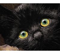 AYAOYANGGO DIY Animale Kit Completo Per Tufting Gatto Nero Dei Cartoni Animati Kit Per Tappeti Con Gancio Per Adulti E Principianti,Fai Da Te,Zerbini,Regali,Decorazioni Per La Casa. 23x35in