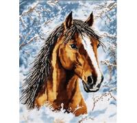 AYAOYANGGO DIY Kit Per Tappeti Con Gancio A Scatto Animale Cavallo Kit Fai Da Te Per Uncinetto,Ricamo Su Tappeto,Kits Per Arazzo,Lavori Di Cucito Per La Decorazione Della Casa 23x35in