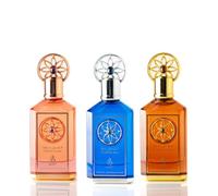 Ayat Perfumes - Eternal Edition - Eau de Parfum Miste - Parfum Femme e Uomo 100ml - Profumi a Lunga Durata (Cofanetto Eternal | Nota di Bergamotto, Ambra, Muschio Bianco, Vaniglia)