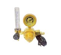 AYJYZHIAG Riduttore del misuratore di anidride carbonica riscaldato Elettrico, 36 110 220, misuratore di Portata della valvola del regolatore di CO2(220)