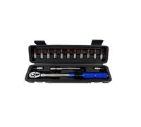 AYJYZHIAG Set di chiavi dinamometriche for bicicletta da 15 pezzi, chiave esagonale regolabile bidirezionale 1/4 pollice, strumenti for la riparazione e manutenzione della, kit bussole Nm