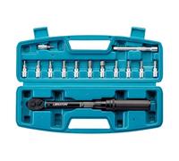 AYJYZHIAG Wrench 1/4'', 5-25Nm, 0.1Nm Micro, Drive Click Torque Set, Hex, Torx/Star Bit Sockets, Extension Bar