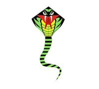 Aymzbd Aquilone Giocattolo a Forma di Serpente, Colorato, Facile da Far Volare, Aquilone a Linea Singola, di Grandi Dimensioni per Principianti E Adulti, Pra, 1mx0.8x8.2m