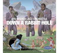 AYN INSERTO JAZZ ORCHESTR - DOWN A RABBIT HOLE