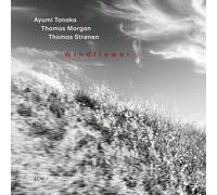 Ayumi Tanaka; Thomas Morgan; Thomas Stronen - Ayumi Tanaka: Windflower
