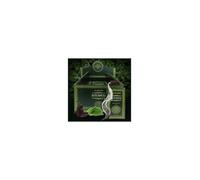 Ayurvedic - Patchouli - 10 coni Backflow Incense