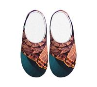 AYYQWE Beauty Grand Canyon Stampa Adulto Unisex Casa Morbido TPR Pantofole Accoglienti Suola Antiscivolo Casa Viaggi Flanella Indoor