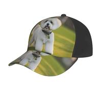 AYYQWE Bichon Frise Dog on the Grass Print Baseball Cap Mesh Summer Hat Outdoor Sports Quick-Dry traspirante assorbimento del sudore nero
